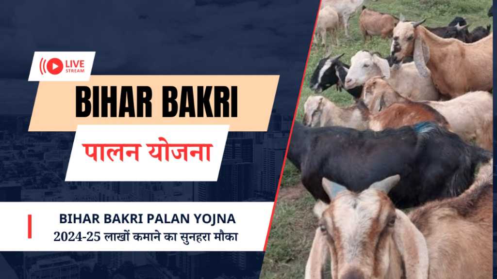 Bihar Bakri Palan Yojna 2024-25